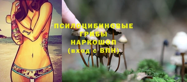 каннабис Алексеевка
