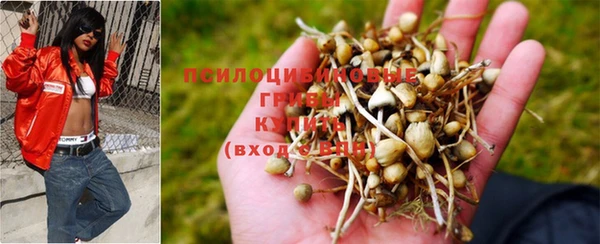 каннабис Алексеевка