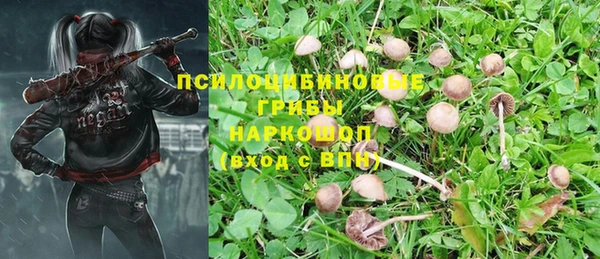 СК Покровск