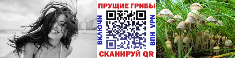 Галлюциногенные грибы Magic Shrooms магазин Покров